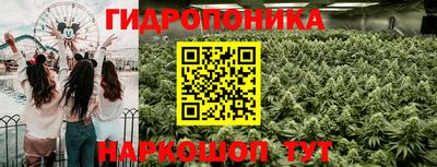 apvp Краснознаменск